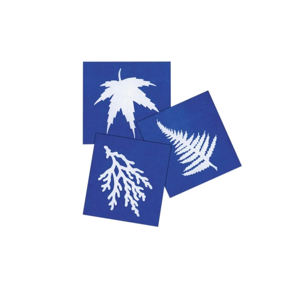 Steve Spangler Science® Nature Print Sun Paper (30 Pack)