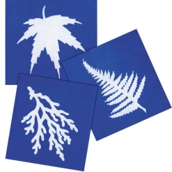 Steve Spangler Science® Nature Print Sun Paper (30 Pack)