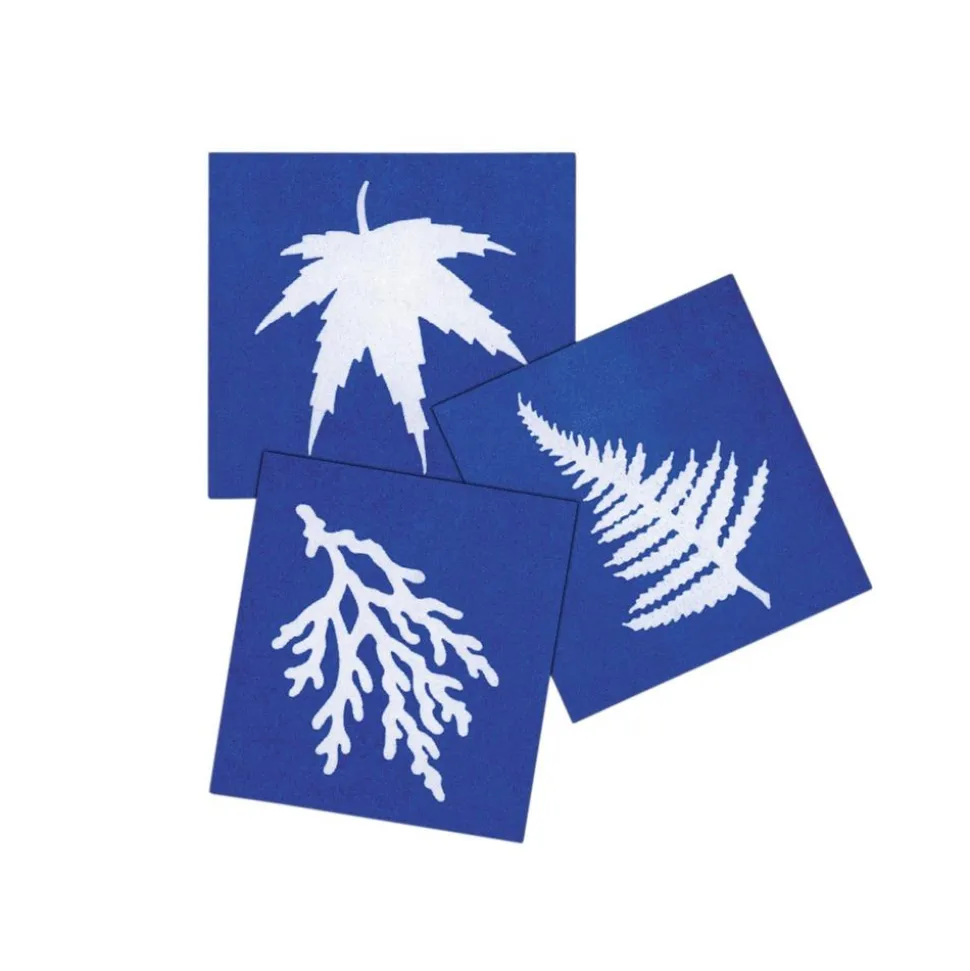 Steve Spangler Science® Nature Print Sun Paper (30 Pack)