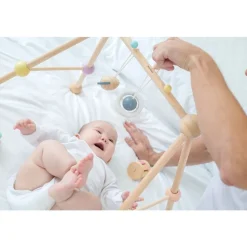 Sustainable Wooden Baby Play Gym
