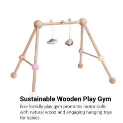 Sustainable Wooden Baby Play Gym