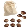 Tactile Shells for Sensory Exploration - 36 pcs