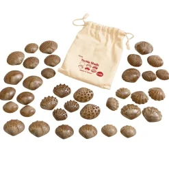 Tactile Shells for Sensory Exploration - 36 pcs