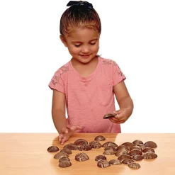 Tactile Shells for Sensory Exploration - 36 pcs