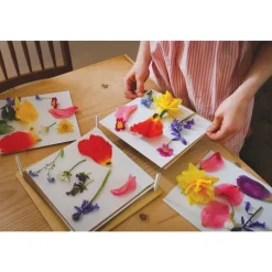 Tender Leaf® My Botanical Press - Flower + Plant Pressing