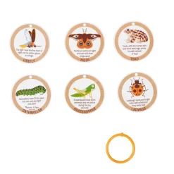 Terrarium Observations Play Set