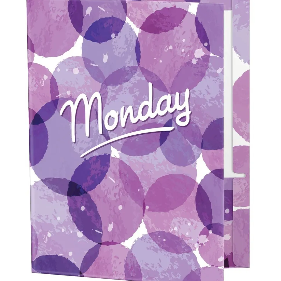 The Organized Teacher Folders Set Of 10
