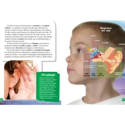 TIME FOR KIDS® Informational Text Grade 3 Spanish 30-Book Set