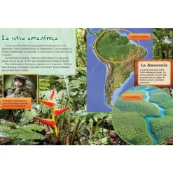 TIME FOR KIDS® Informational Text Grade 3 Spanish Set 2 10-Book Set