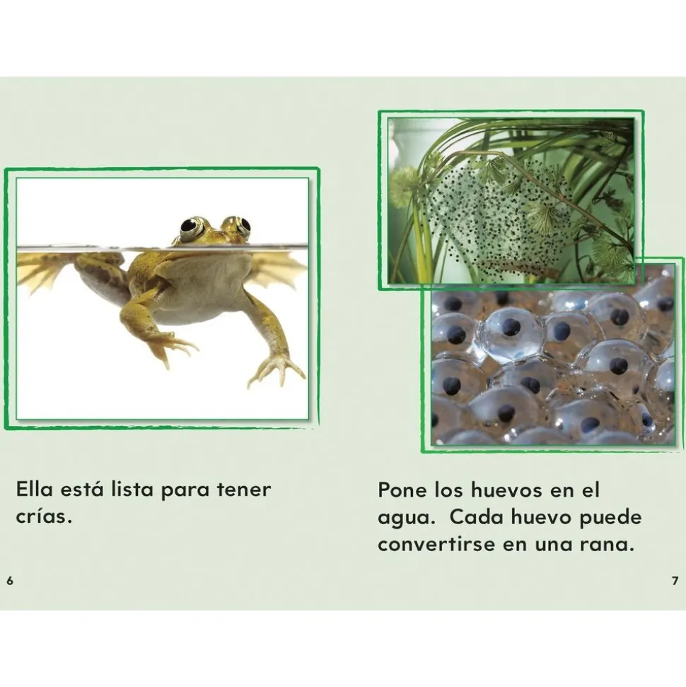 TIME FOR KIDS® Informational Text Grade 1 Readers Spanish 30-Book Set