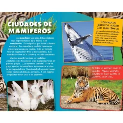 TIME FOR KIDS® Informational Text Grade 4 Spanish 30-Book Set