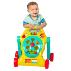 Tiny Steps Walker with Activities