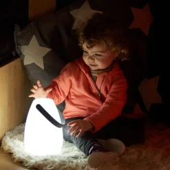 TTS® Light Up Lanterns - Single