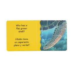 Who's Playing? Bilingual - 3 book set