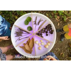 Wooden Discovery Dividers