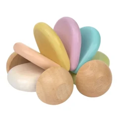 Wooden Disk Car - Pastel