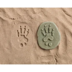 Woodland Animal Footprint Stones - Set of 8